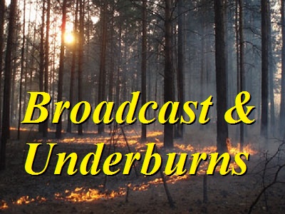 Broadcast Burn Photo