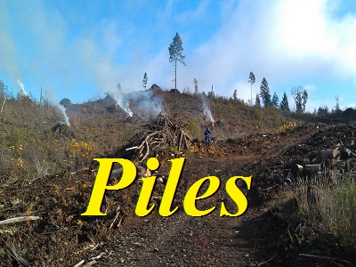 Pile Burn Photo